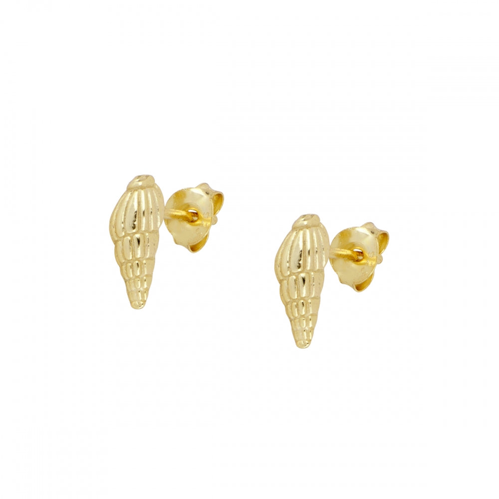 Shell earrings (silver and gold)
