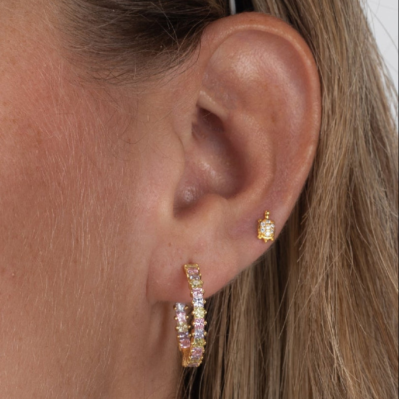 Turtle Earrings (Silver and Gold)
