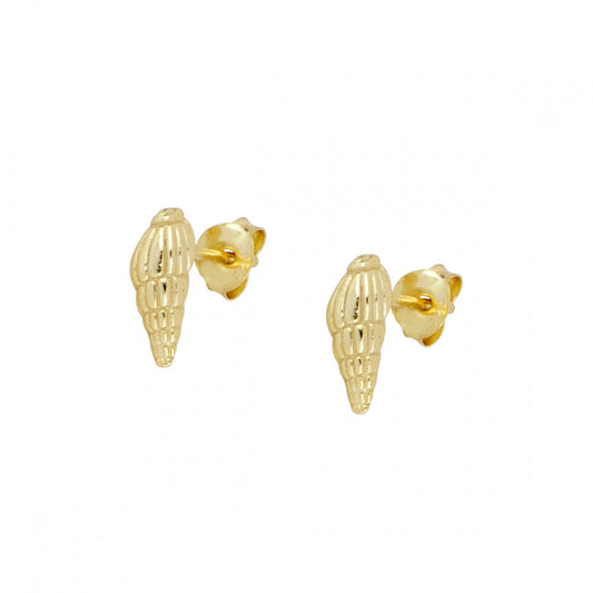 Shell earrings (silver and gold)