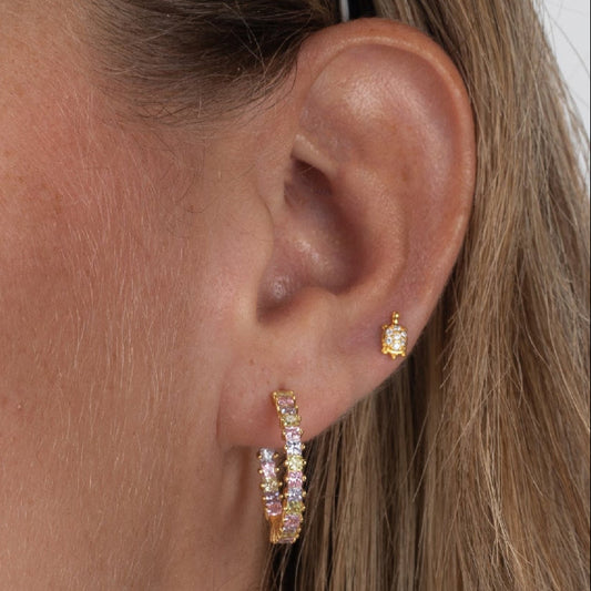 Turtle Earrings (Silver and Gold)