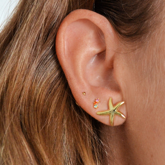Large Starfish Earrings (Silver and Gold)